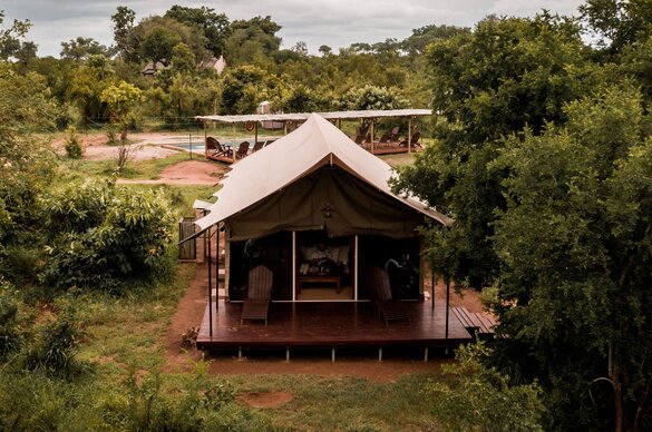 Honeyguide Khoka Moya